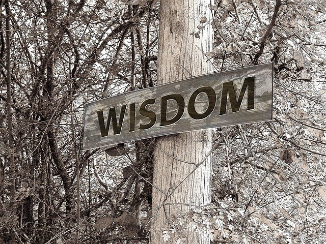 wisdom signpost